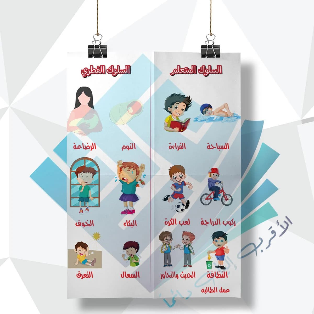 لوحة مدرسية عن السلوك المتعلم والفطري للانسان
