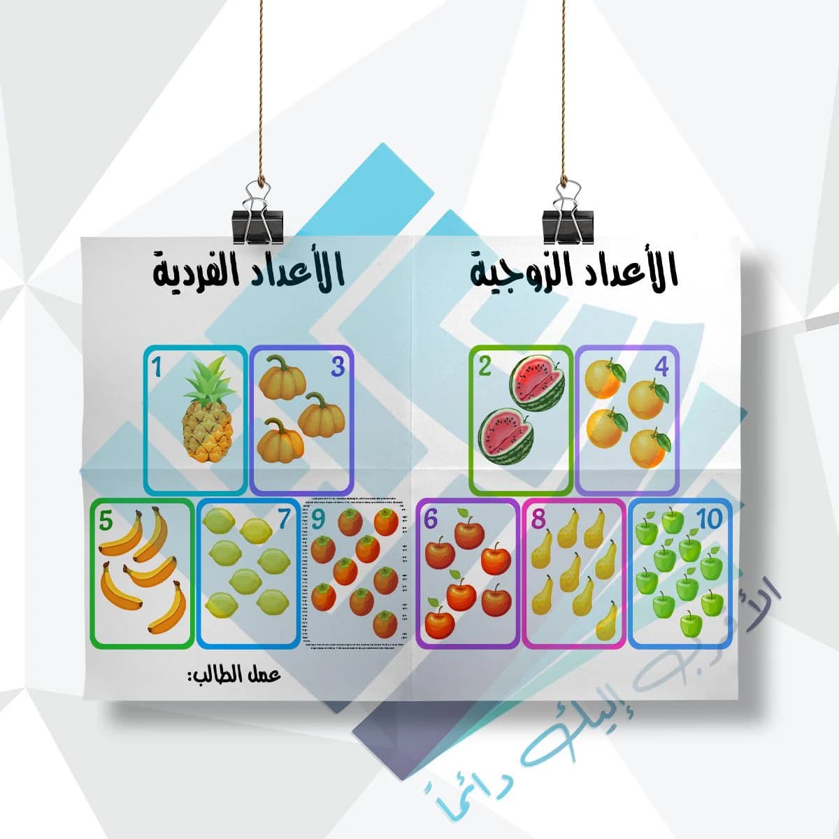 لوحة مدرسية عن الاعداد الزوجية والفردية فواكه