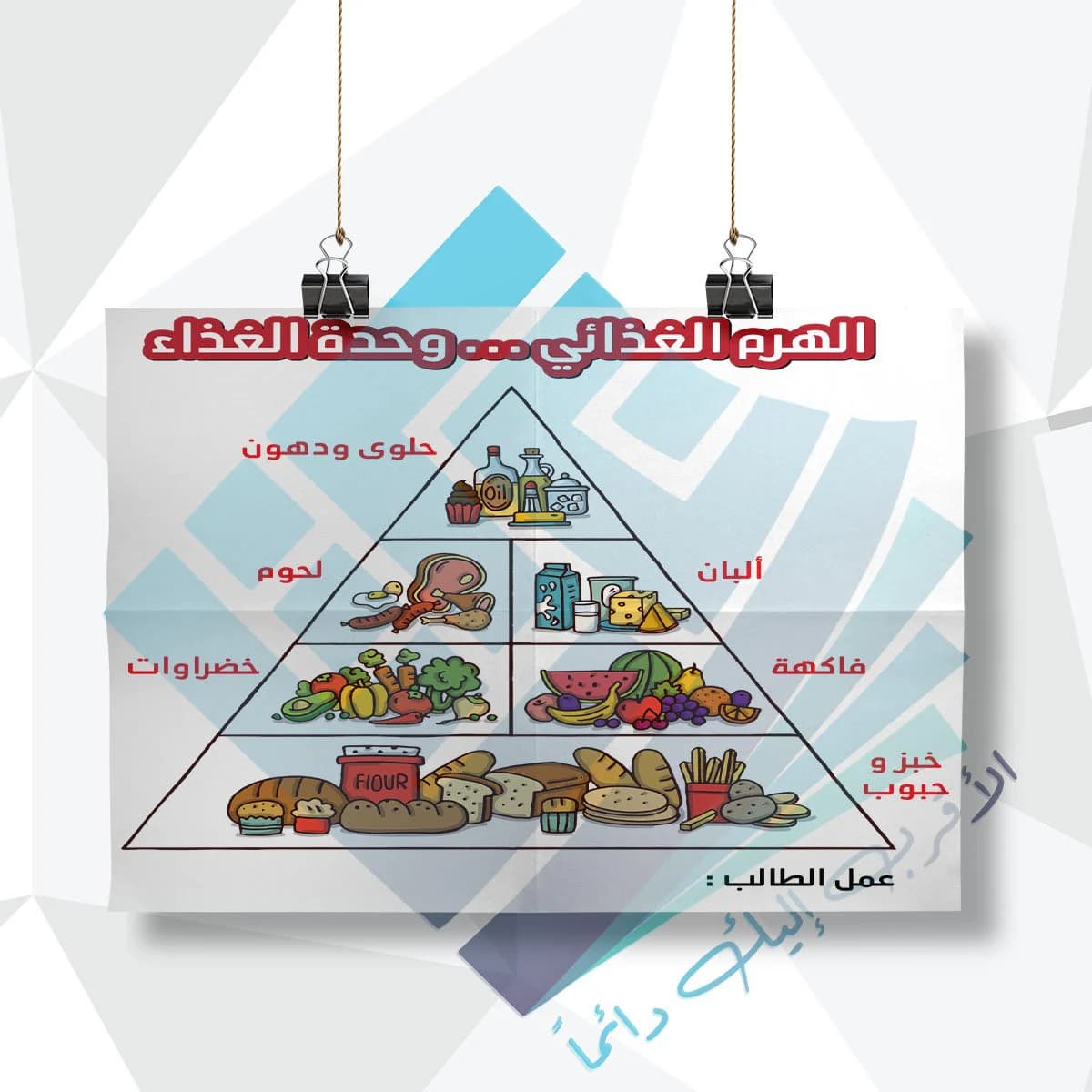 لوحة مدرسية عن الهرم الغذائي