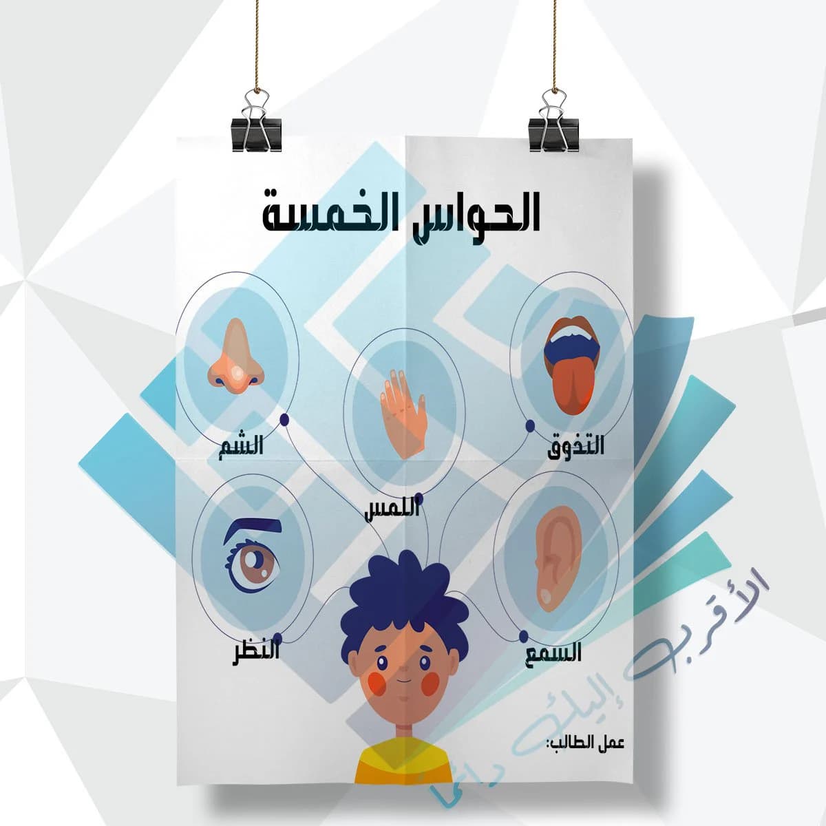 لوحة مدرسية عن الحواس الخمسة