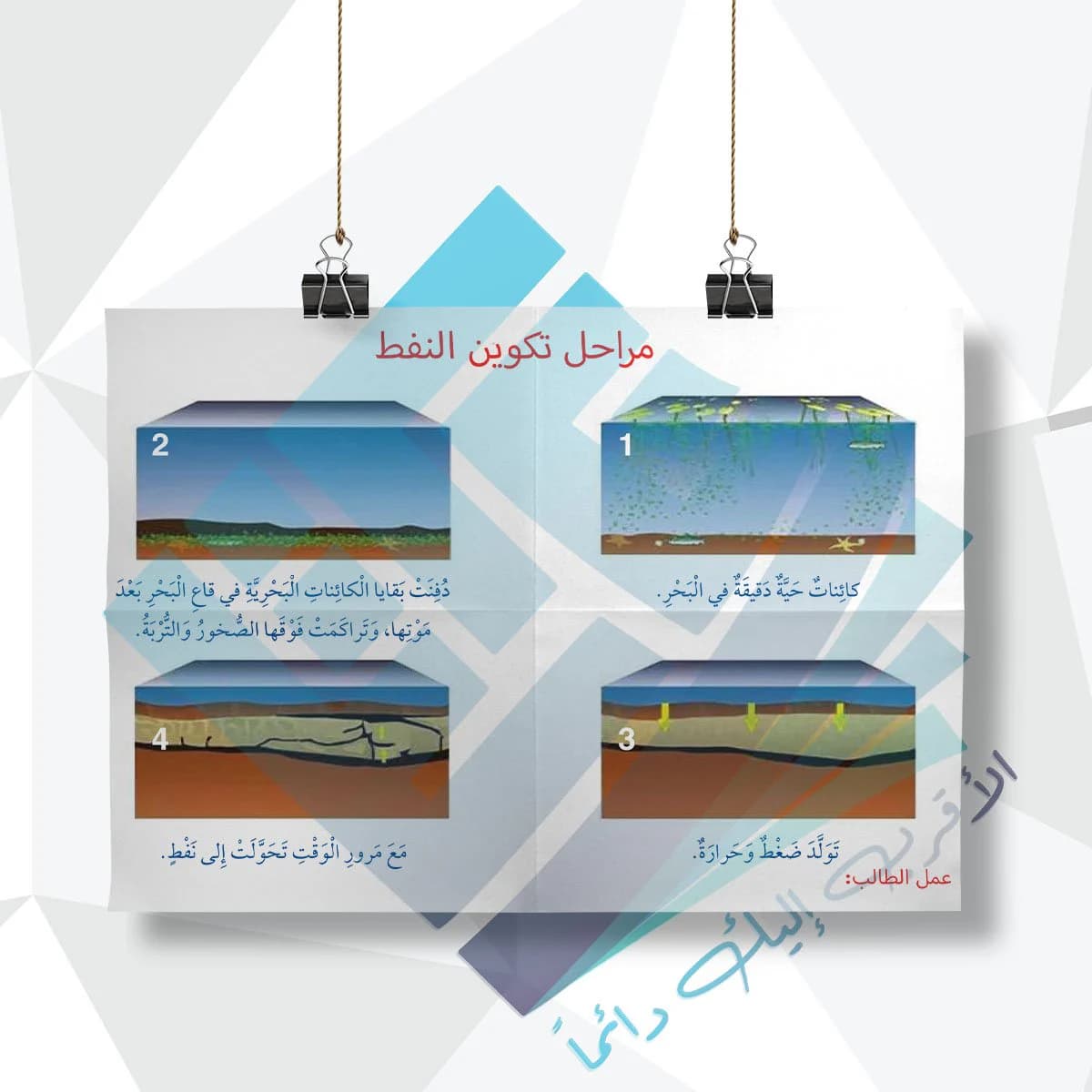مراحل تكوين النفط