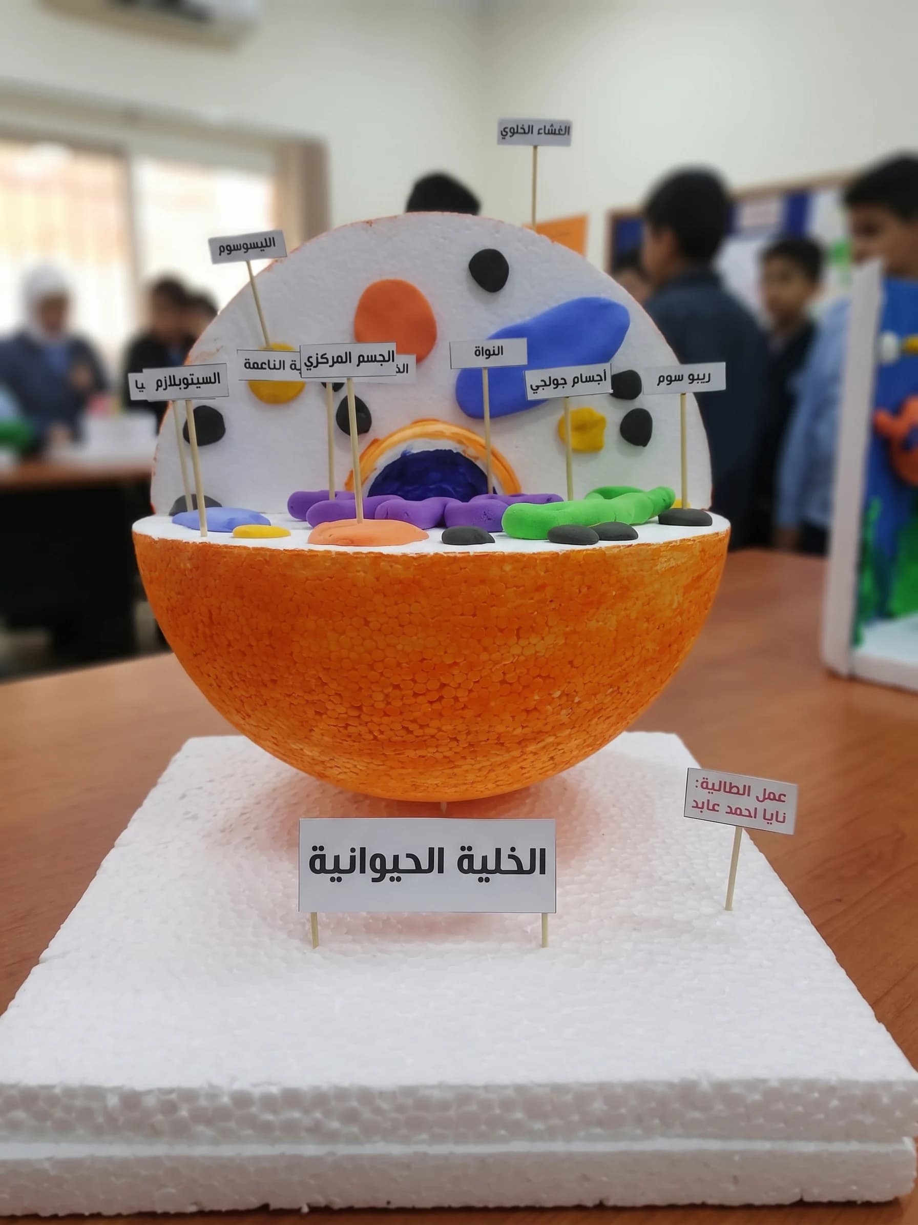 مجسم الخلية الحيوانية