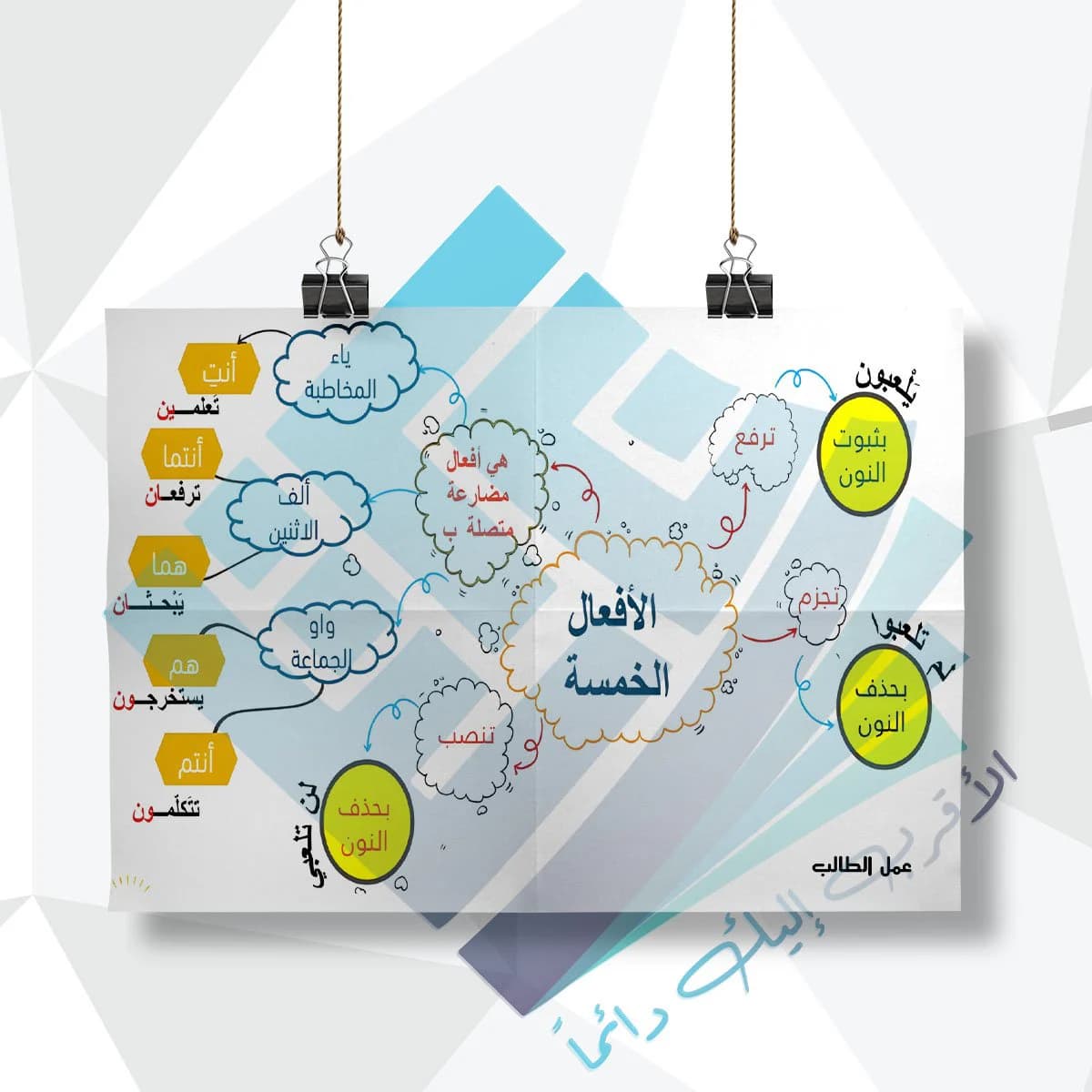 لوحة مدرسية عن الافعال الخمسة