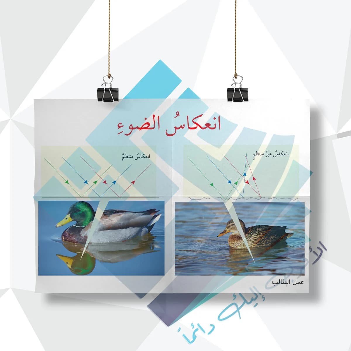 لوحة مدرسية عن انعكاس الضوء