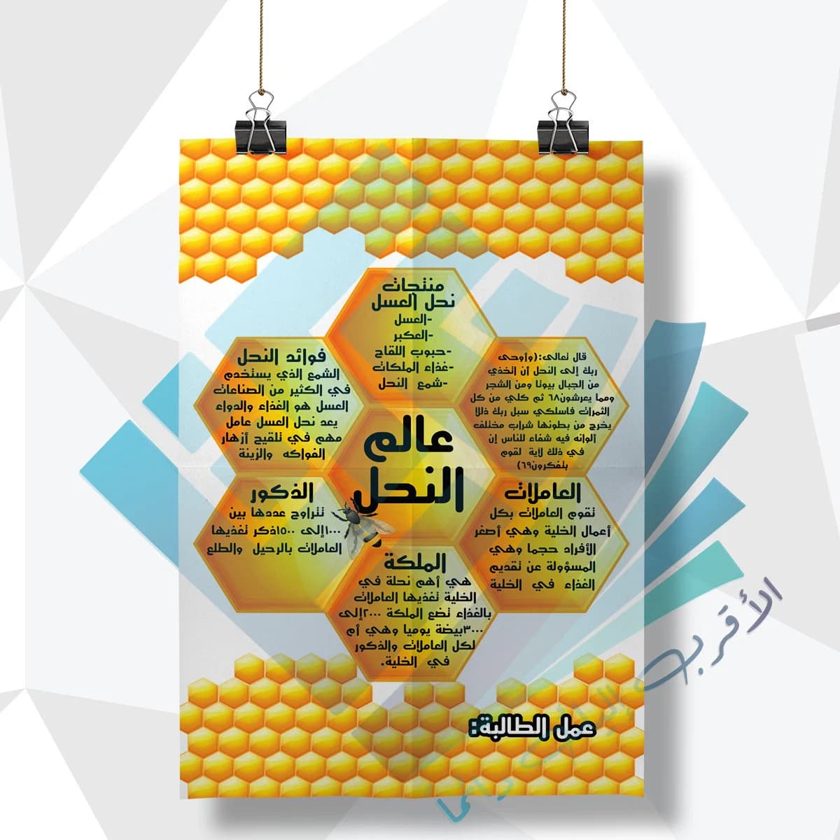 لوحة مدرسية عن عالم النحل