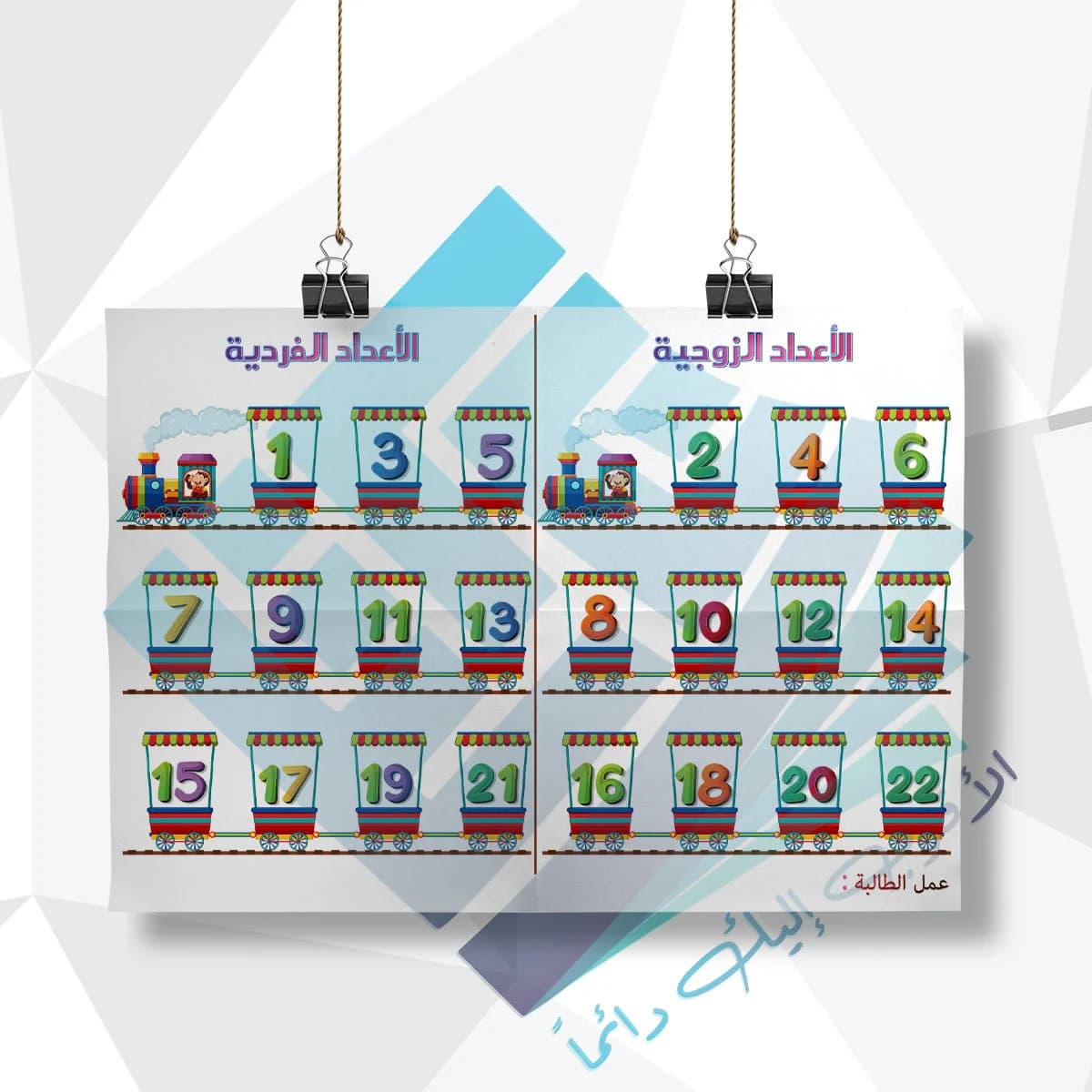 لوحة مدرسية عن الاعداد الزوجية والفردية